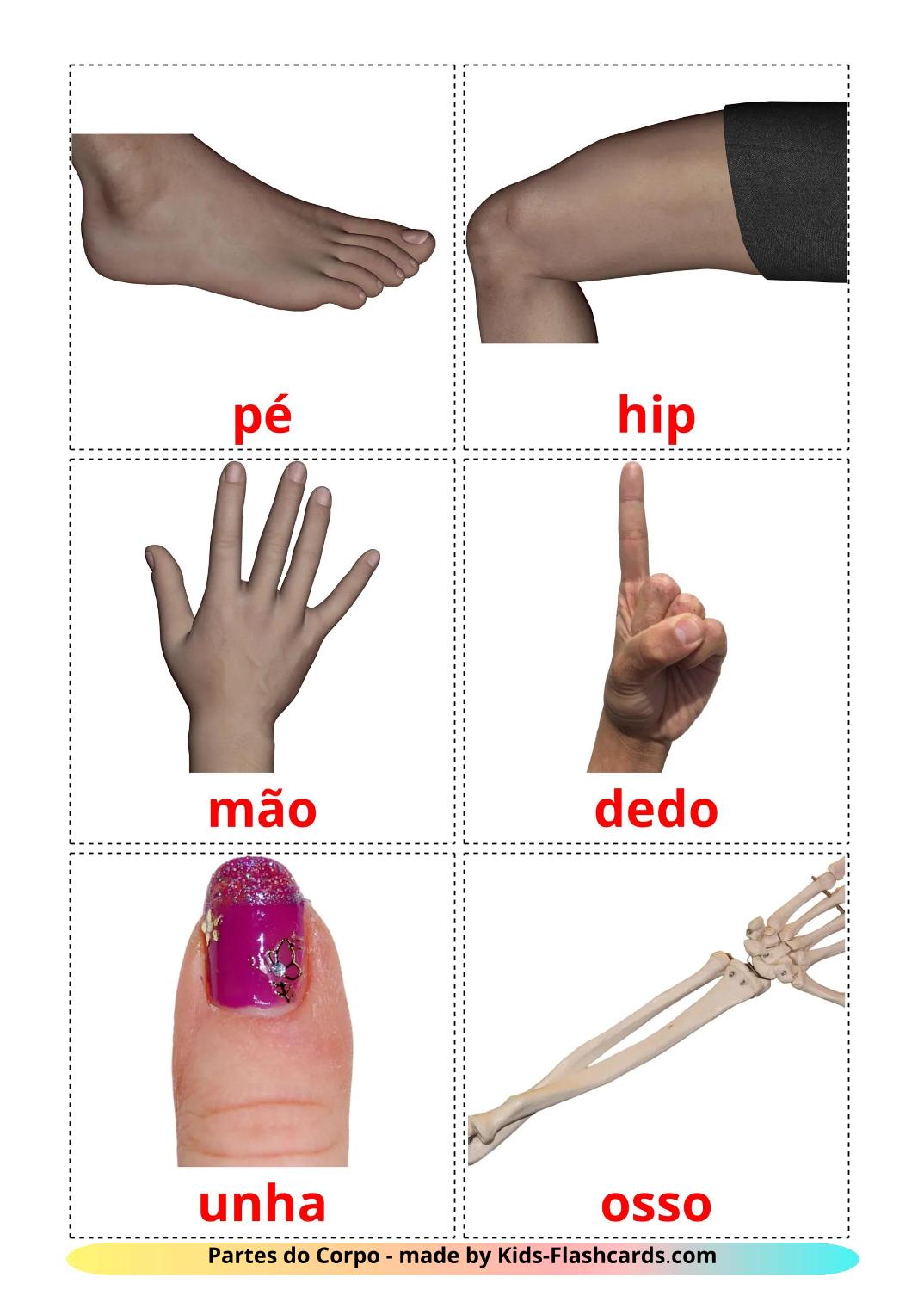 Partes do Corpo - 26 Flashcards portuguêses gratuitos para impressão