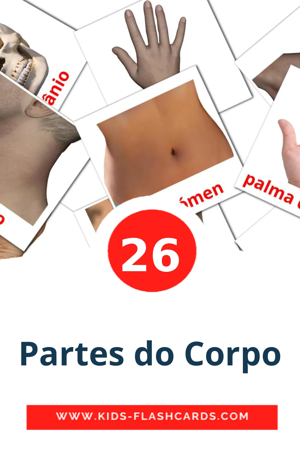 26 Cartões com Imagens de Partes do Corpo para Jardim de Infância em português