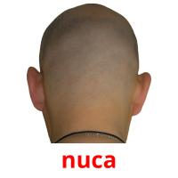 nuca picture flashcards