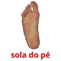 sola do pé cartões com imagens