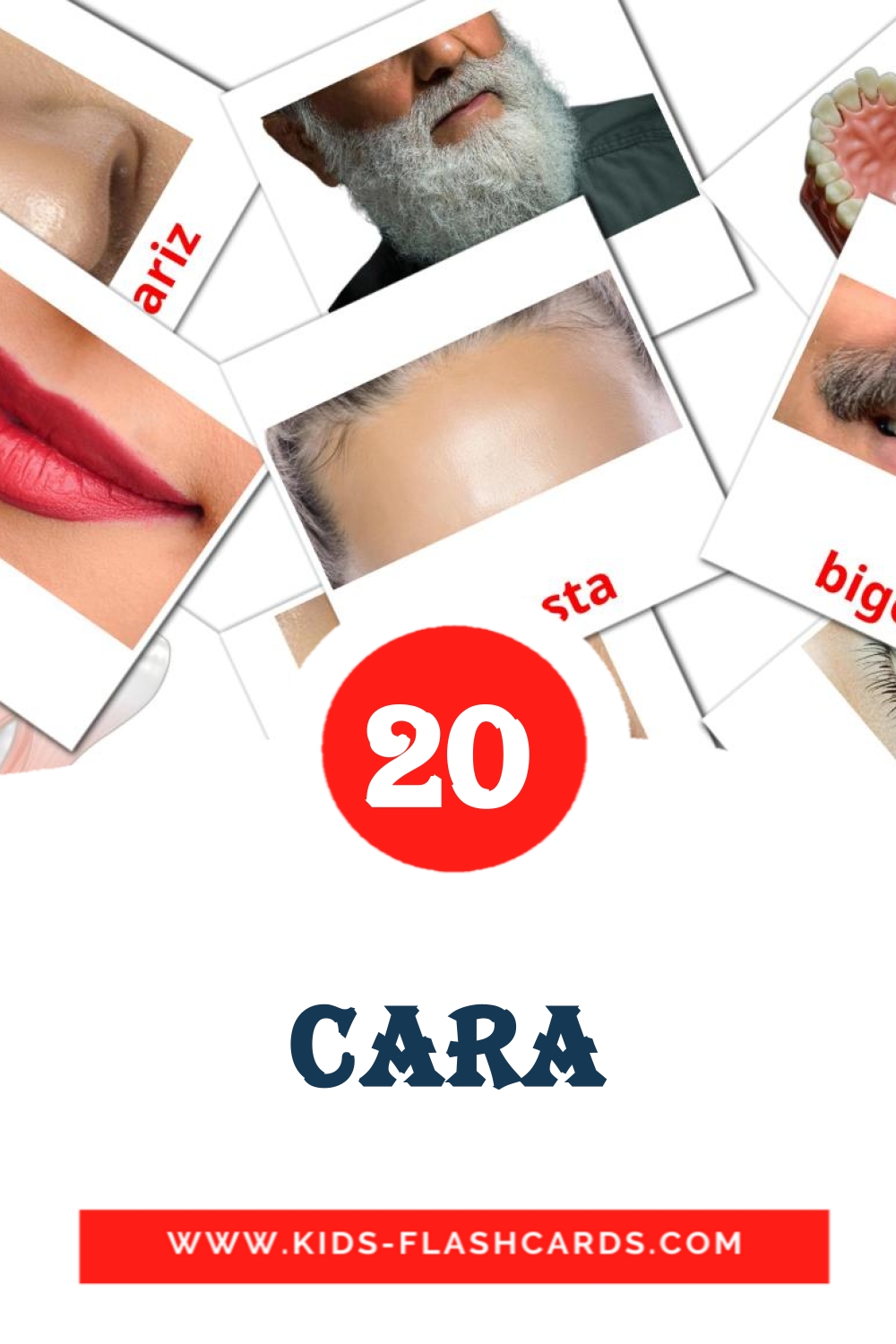 20 Cara Picture Cards for Kindergarden in portuguese
