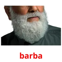 barba cartões com imagens