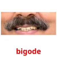 bigode cartões com imagens