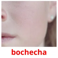 bochecha cartões com imagens