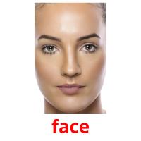 face flashcards illustrate