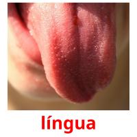 língua picture flashcards