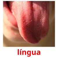 língua cartões com imagens