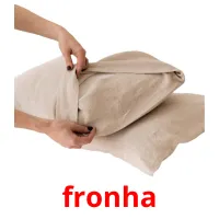 fronha picture flashcards