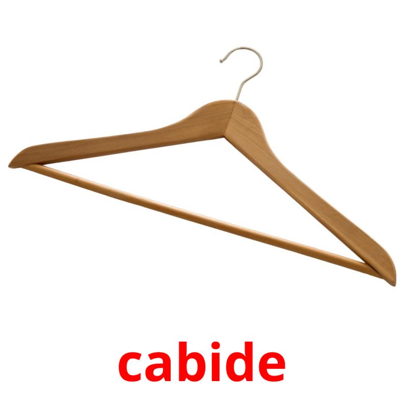 cabide picture flashcards
