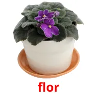 flor cartões com imagens