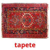 tapete card for translate