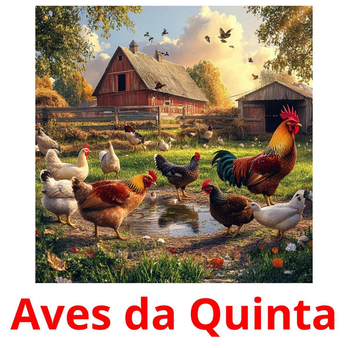 Aves da Quinta cartões com imagens