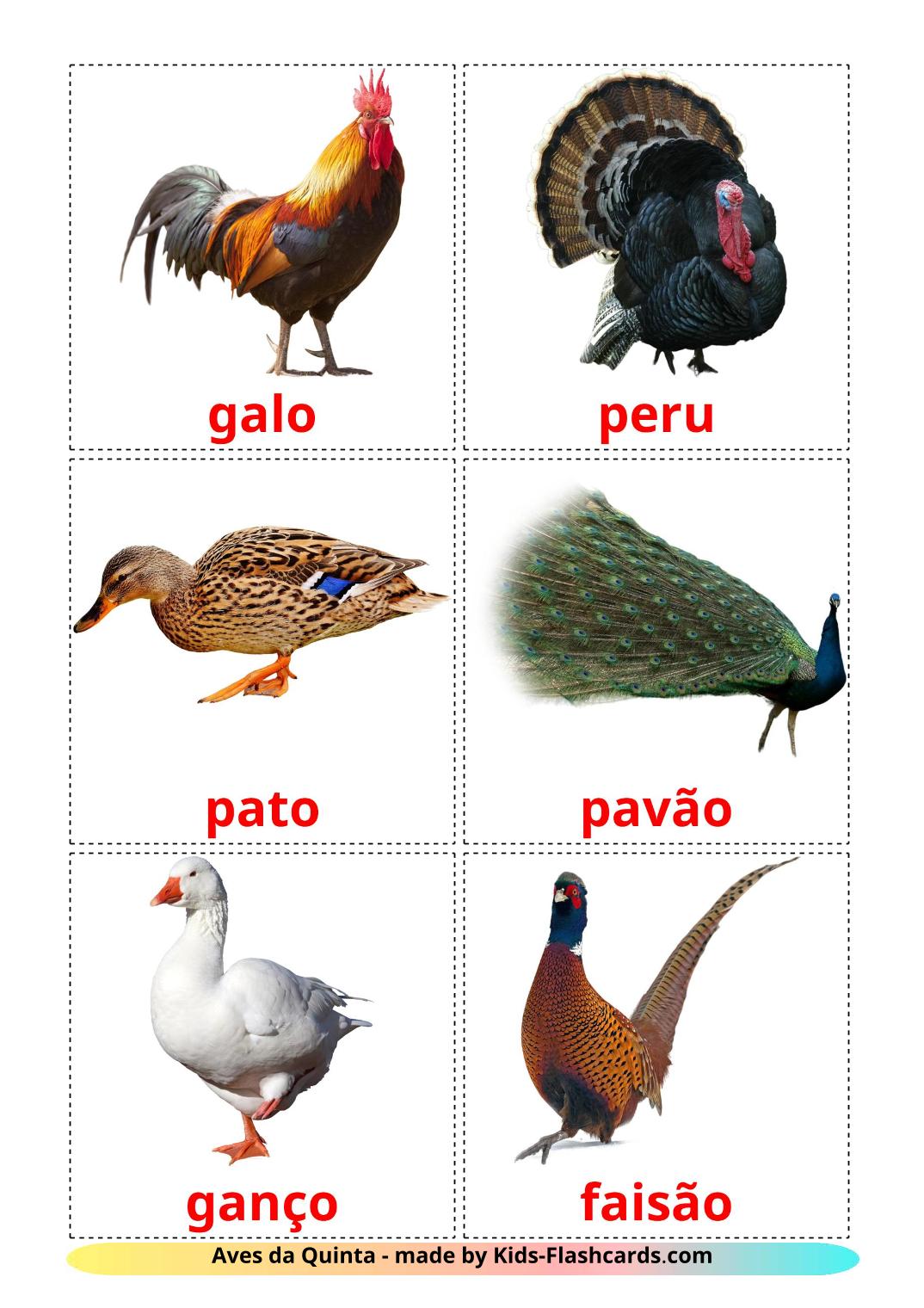 Farm birds - 11 Free Printable portuguese Flashcards 