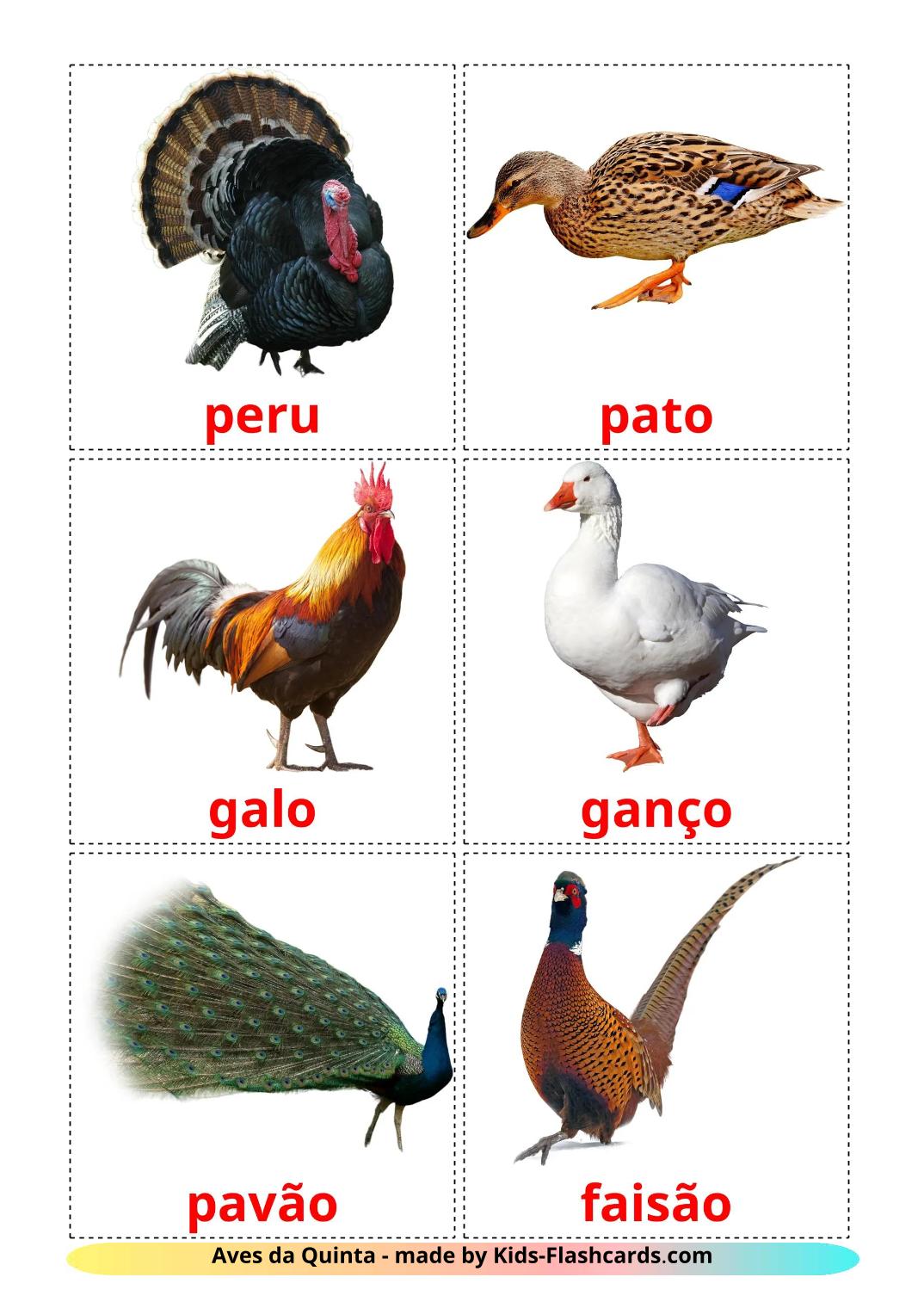 Aves da Quinta - 12 Flashcards portuguêses gratuitos para impressão