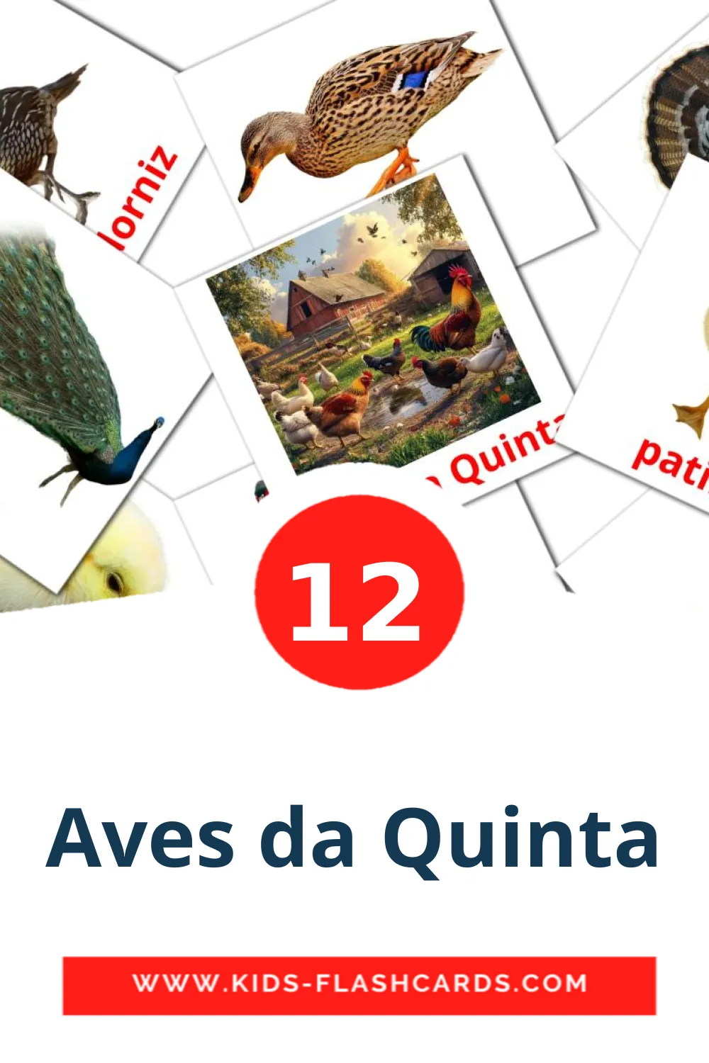 12 Cartões com Imagens de Aves da Quinta para Jardim de Infância em português