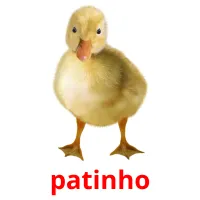 patinho cartões com imagens