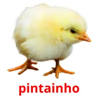 pintainho cartões com imagens