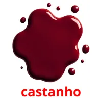 castanho flashcards illustrate