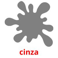 cinza picture flashcards