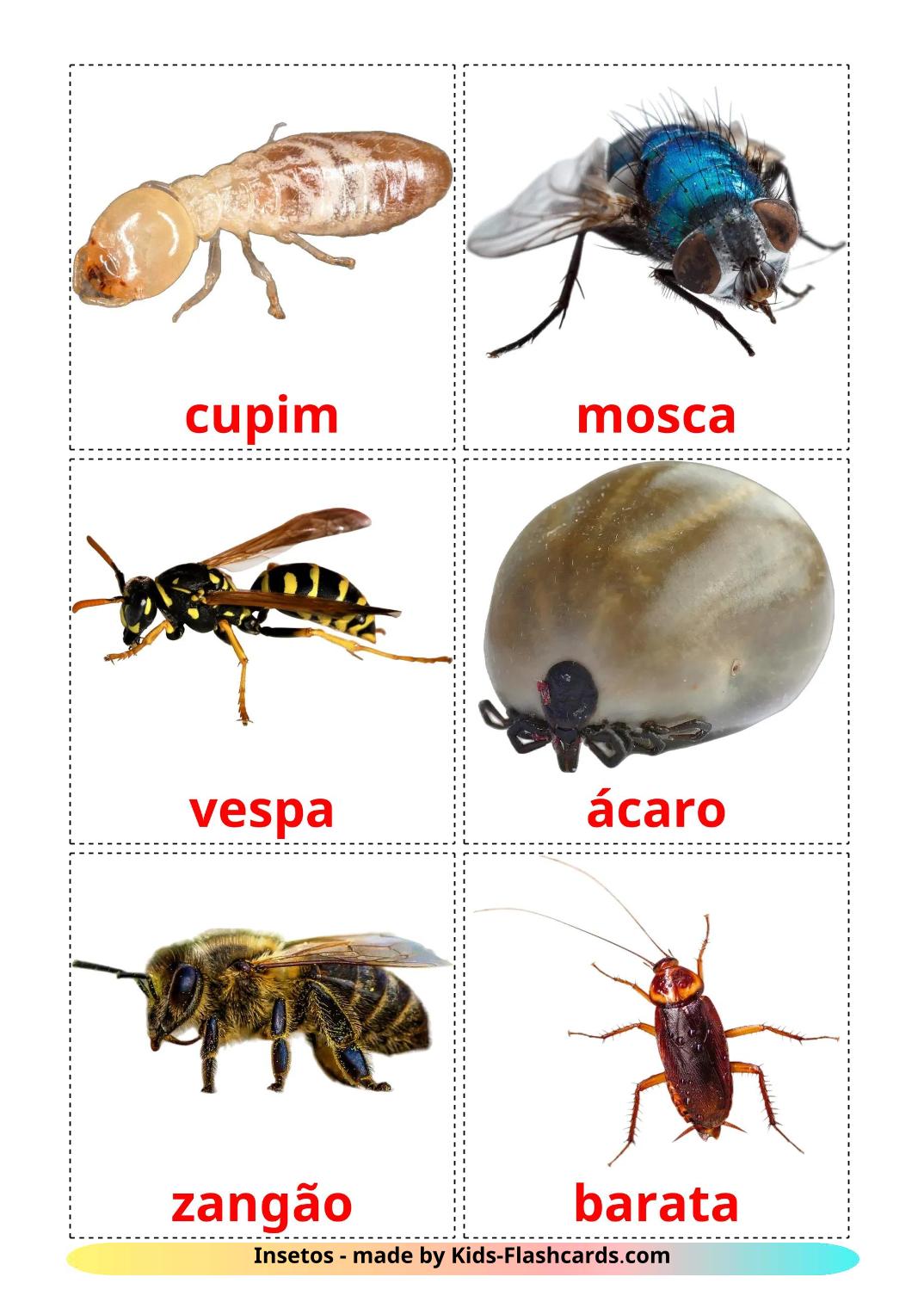 Les Insectes - 24 Flashcards portugais imprimables gratuitement