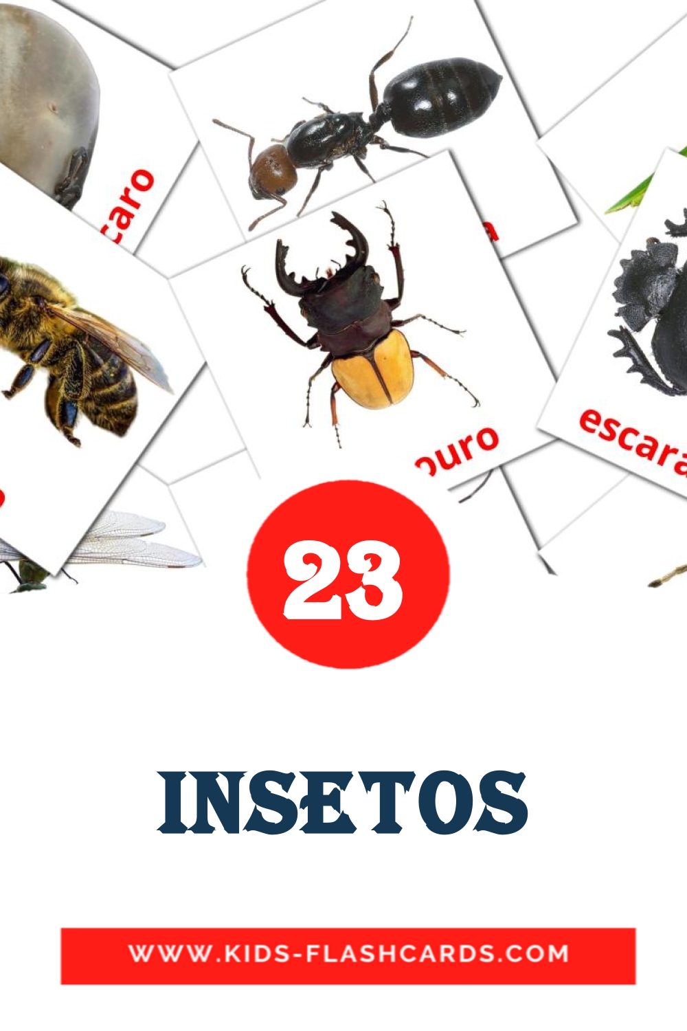 23 carte illustrate di Insetos per la scuola materna in portoghese