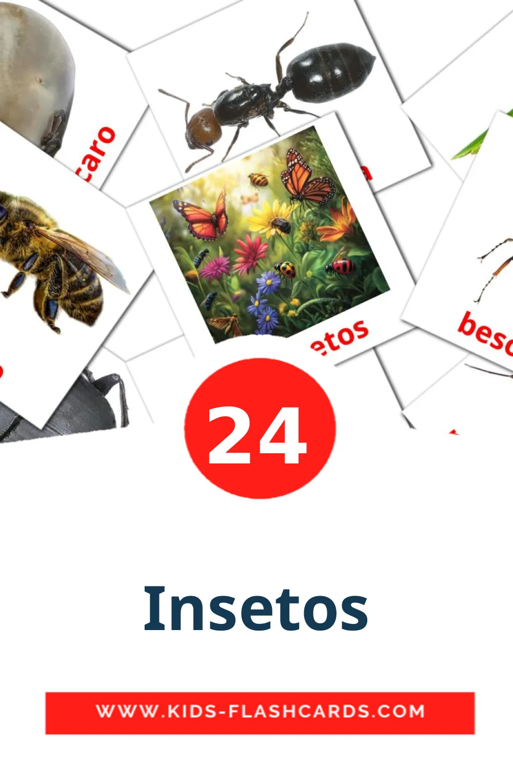 24 cartes illustrées de Insetos pour la maternelle en portugais