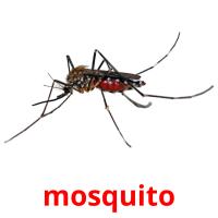 mosquito cartões com imagens