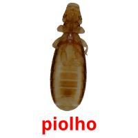 piolho picture flashcards