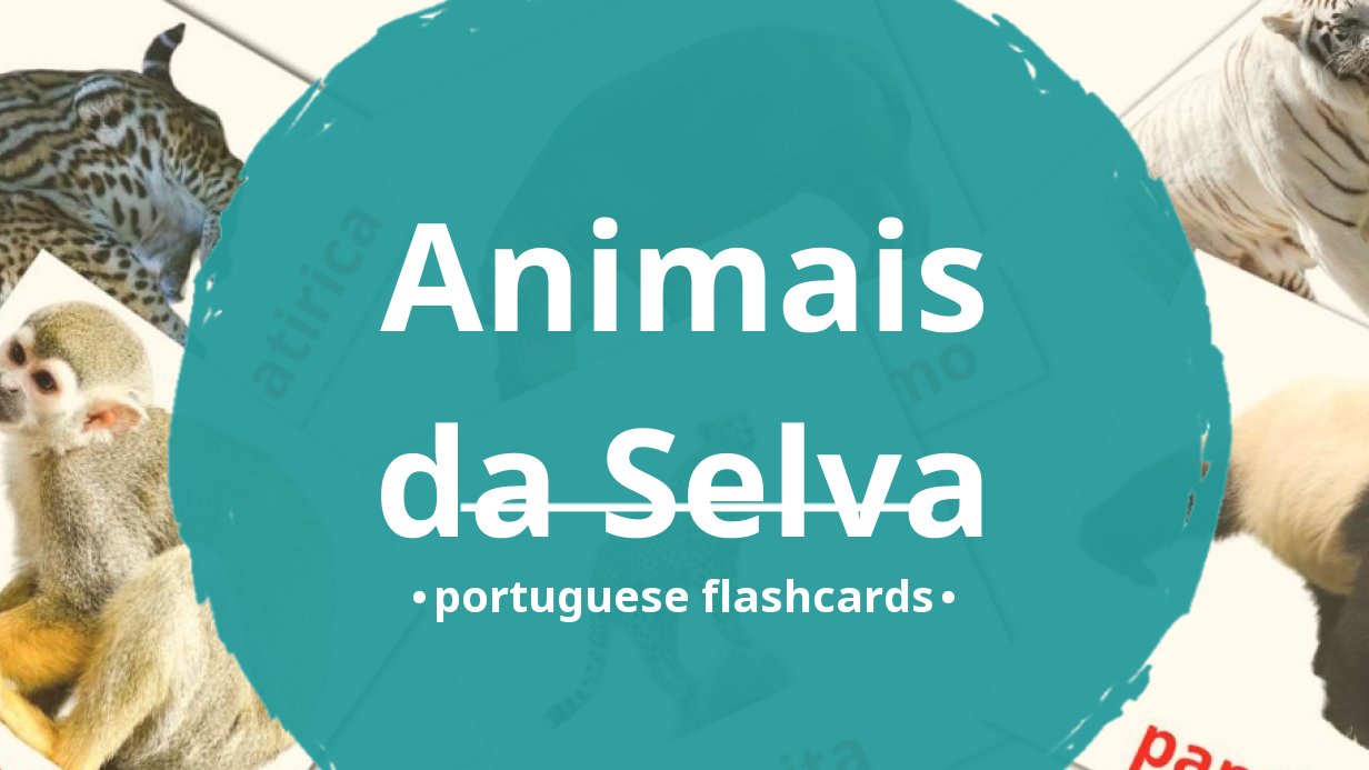 Flashcards - Safari em inglês e português