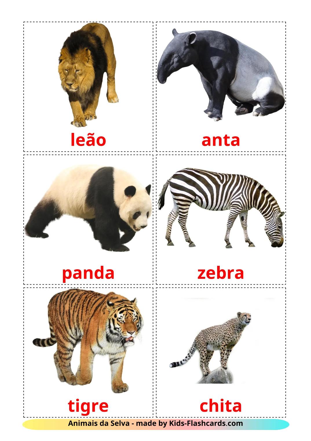 Animais da Selva - 22 Flashcards portuguêses gratuitos para impressão