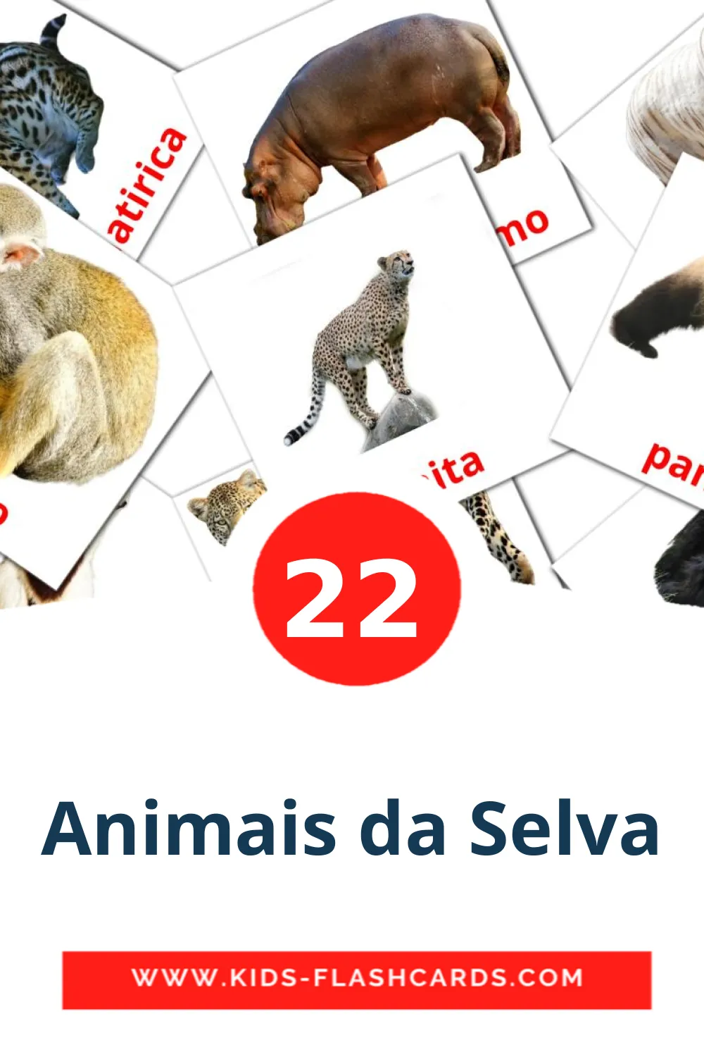 21 Cartões com Imagens de Animais da Selva para Jardim de Infância em português