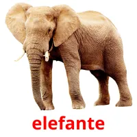 elefante cartões com imagens