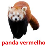 panda vermelho card for translate