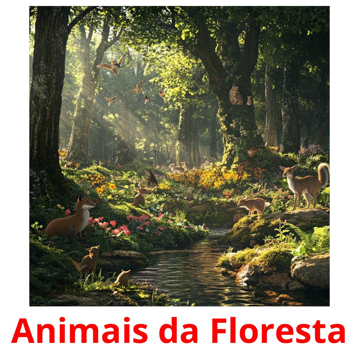 Animais da Floresta picture flashcards