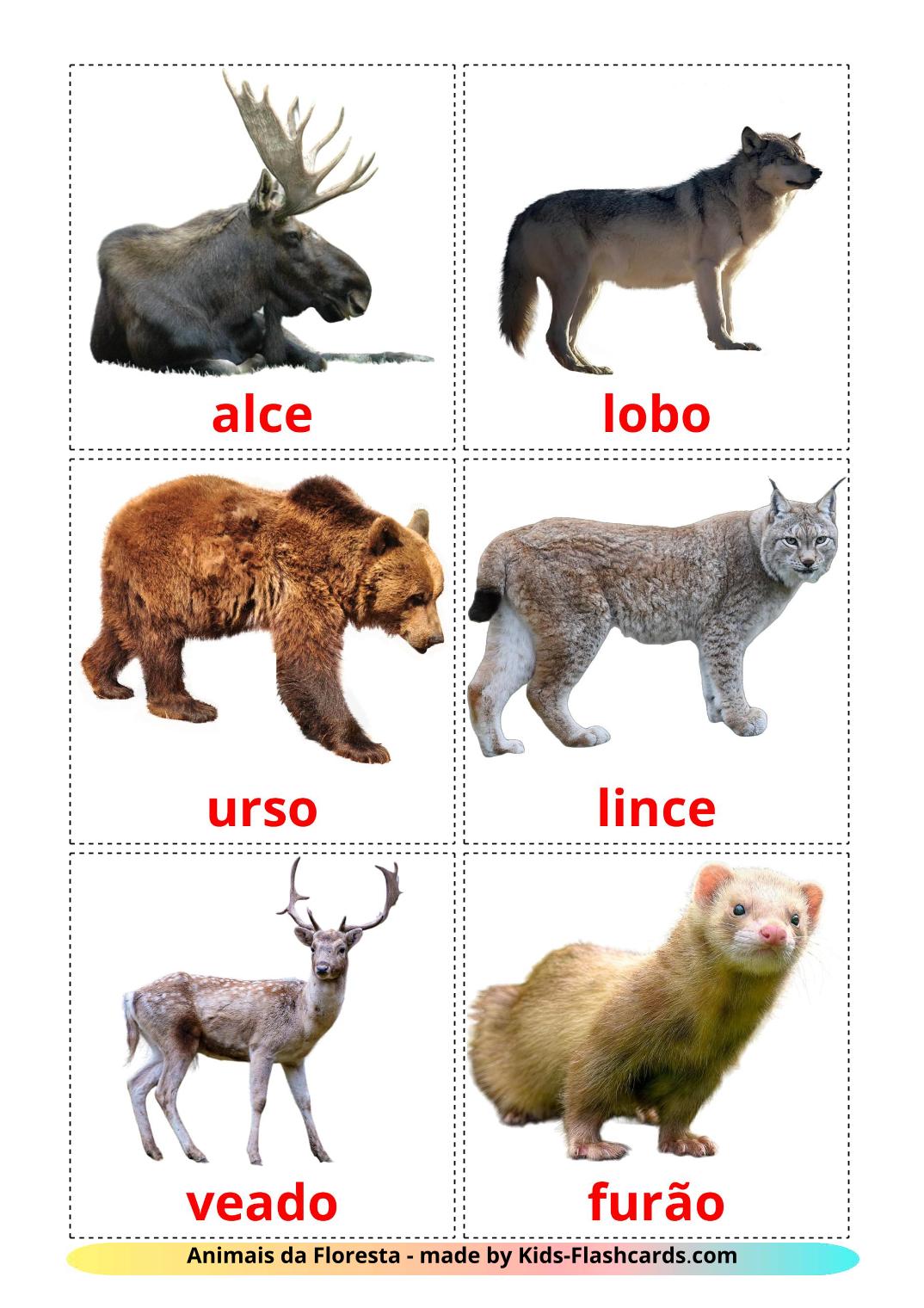 Forest animals - 22 Free Printable portuguese Flashcards 