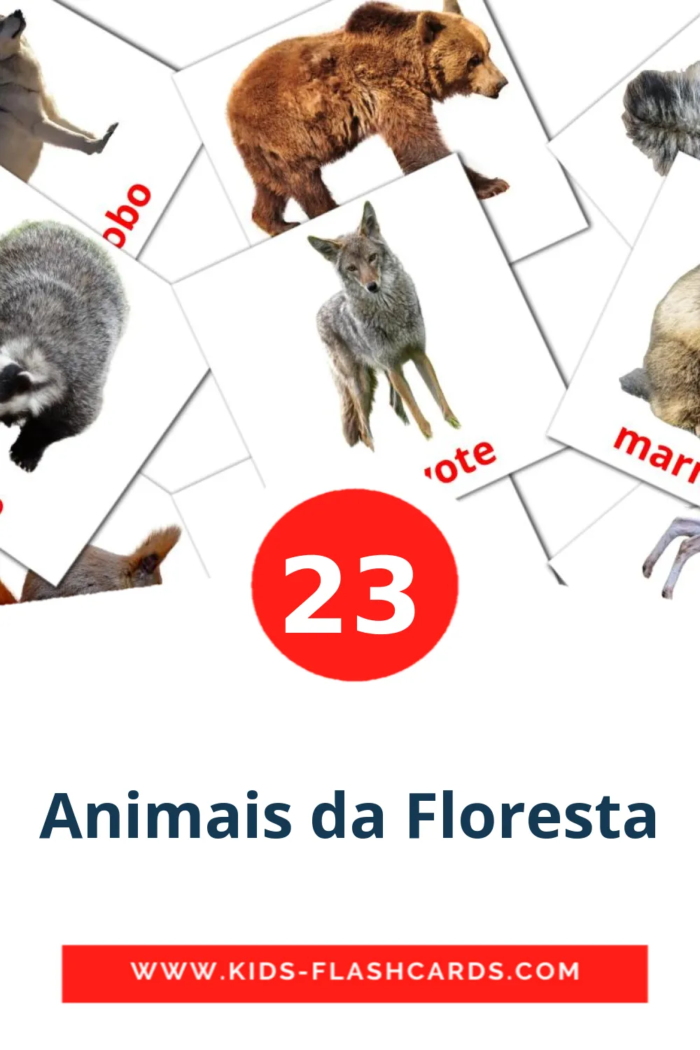 23 cartes illustrées de Animais da Floresta pour la maternelle en portugais