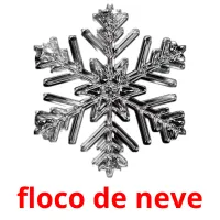 floco de neve cartões com imagens