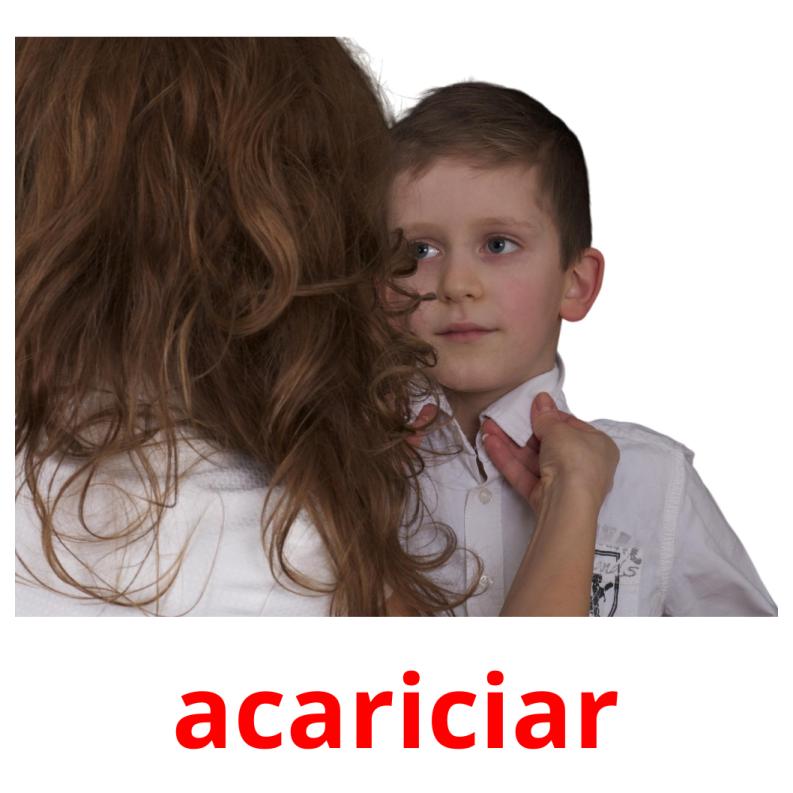acariciar picture flashcards
