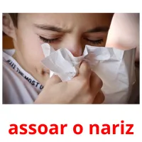 assoar o nariz cartões com imagens