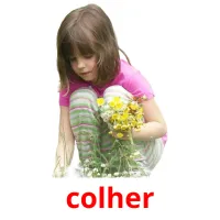 colher cartões com imagens