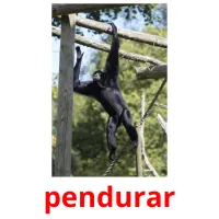 pendurar cartões com imagens