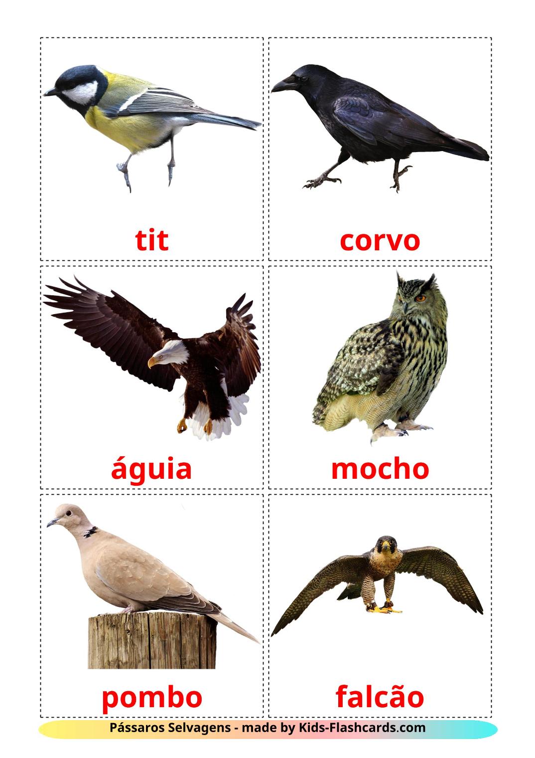 Wild birds - 18 Free Printable portuguese Flashcards 