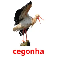 cegonha cartões com imagens