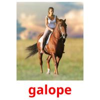 galope picture flashcards