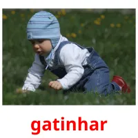 gatinhar cartões com imagens