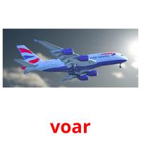 voar picture flashcards