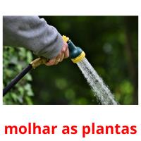 molhar as plantas карточки энциклопедических знаний