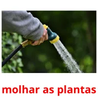 molhar as plantas cartões com imagens