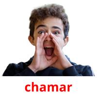 chamar picture flashcards