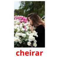 cheirar picture flashcards